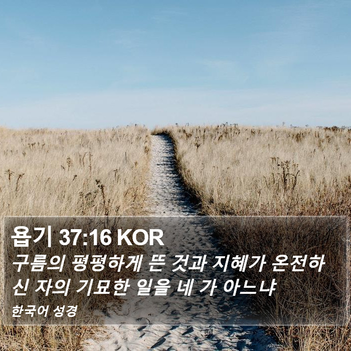 욥기 37:16 KOR Bible Study