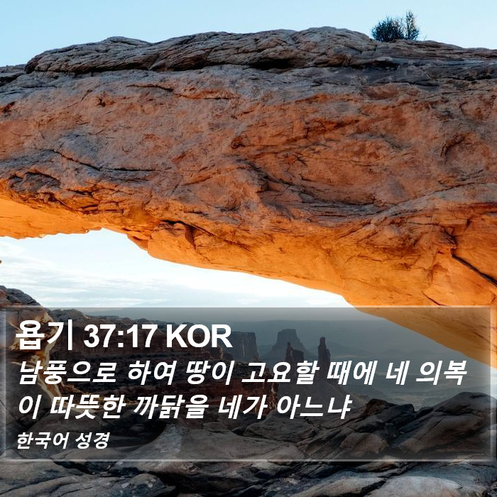 욥기 37:17 KOR Bible Study