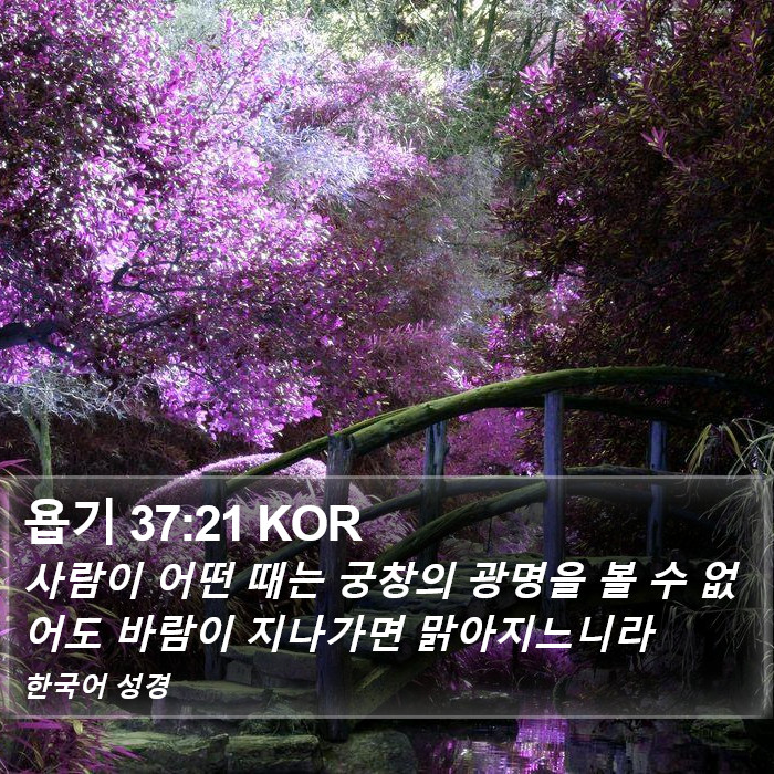 욥기 37:21 KOR Bible Study