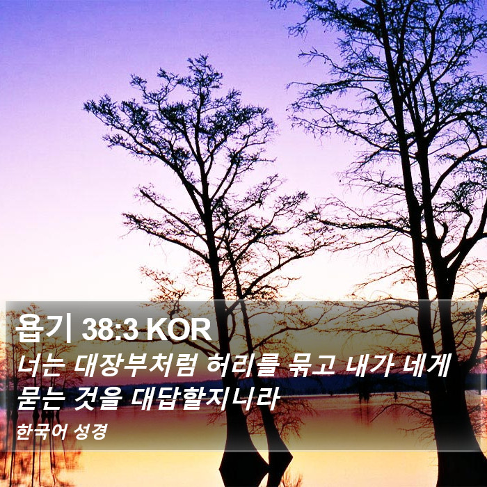욥기 38:3 KOR Bible Study