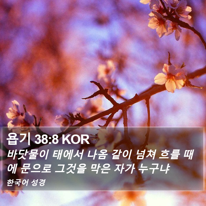 욥기 38:8 KOR Bible Study