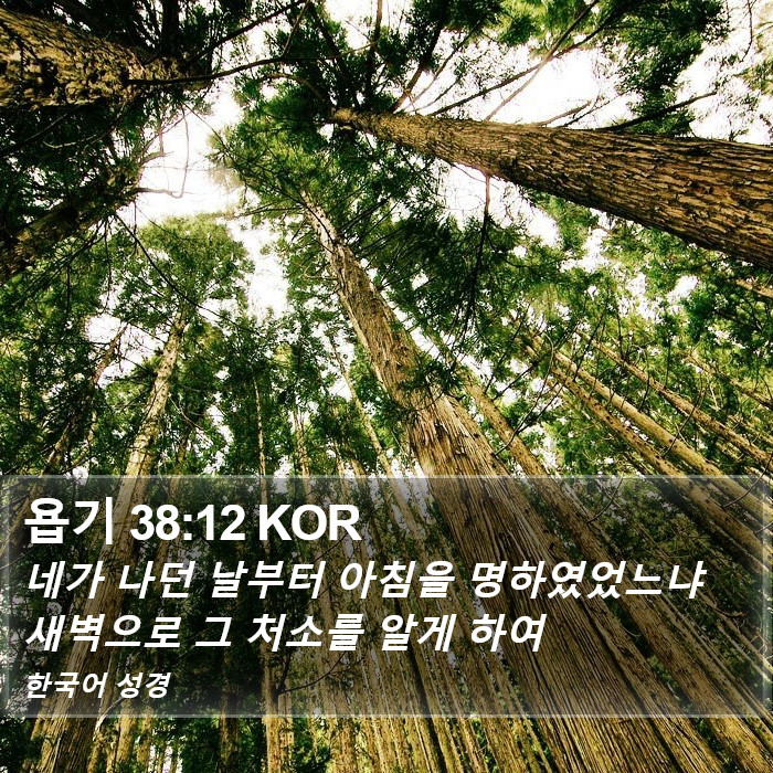 욥기 38:12 KOR Bible Study