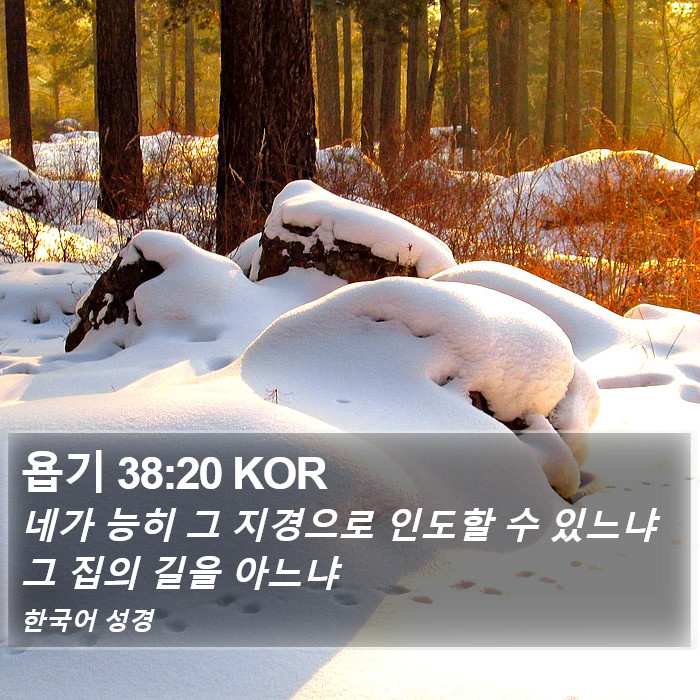 욥기 38:20 KOR Bible Study