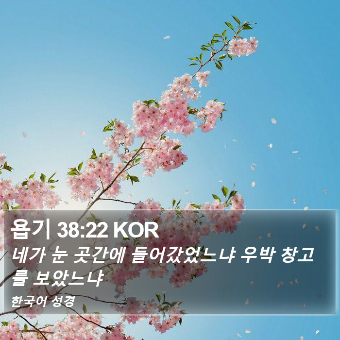 욥기 38:22 KOR Bible Study