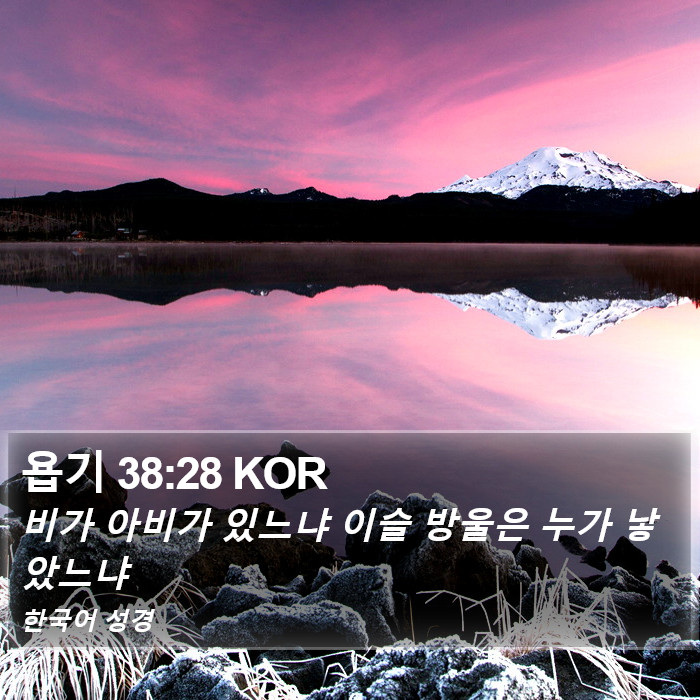 욥기 38:28 KOR Bible Study