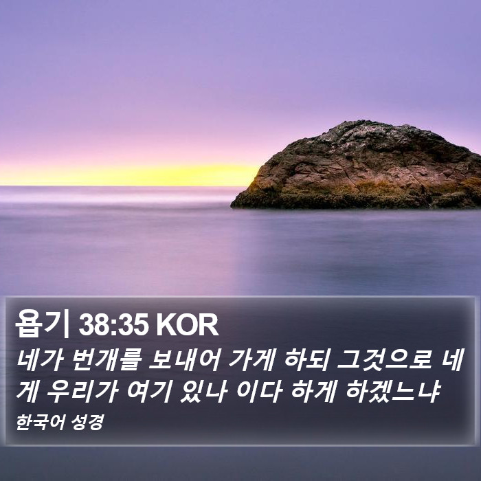 욥기 38:35 KOR Bible Study