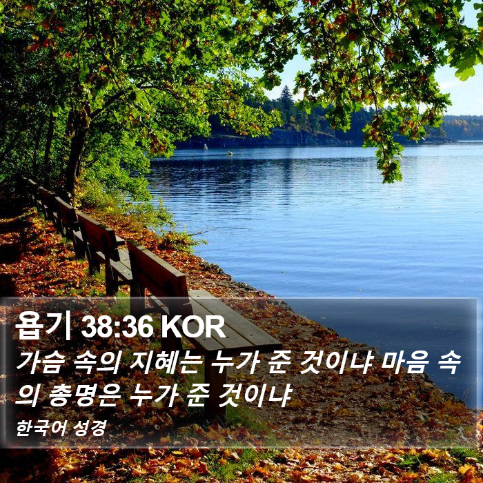 욥기 38:36 KOR Bible Study