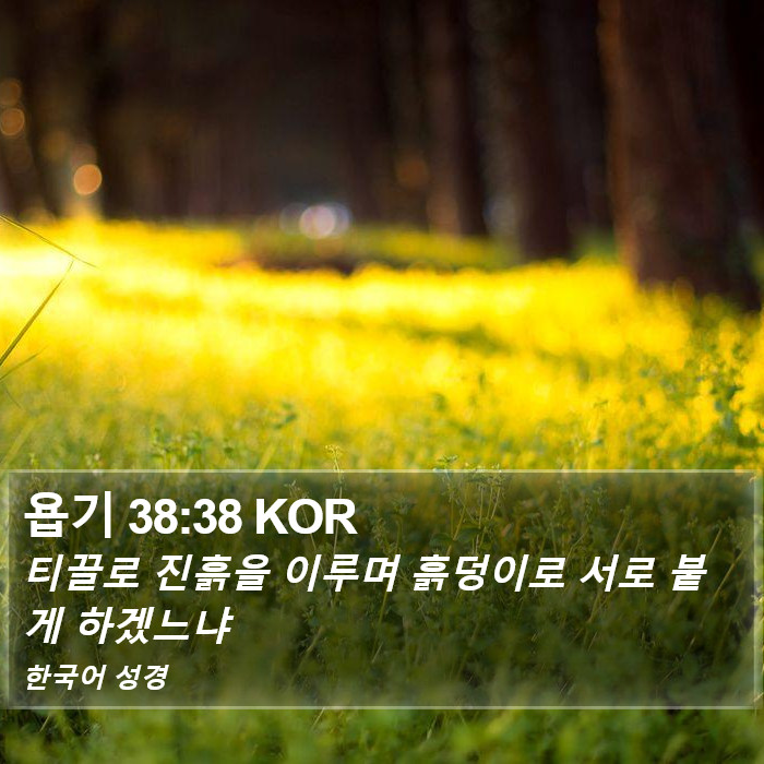 욥기 38:38 KOR Bible Study