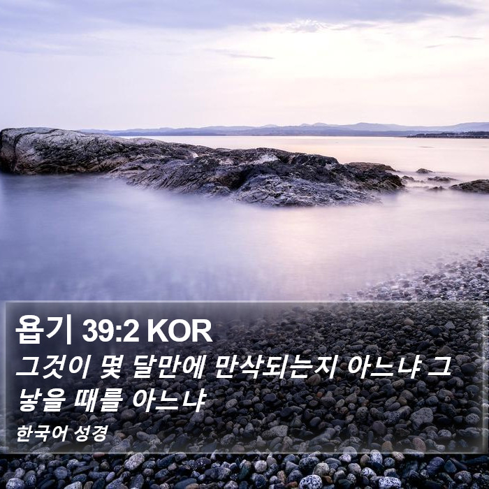 욥기 39:2 KOR Bible Study