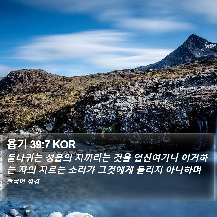 욥기 39:7 KOR Bible Study