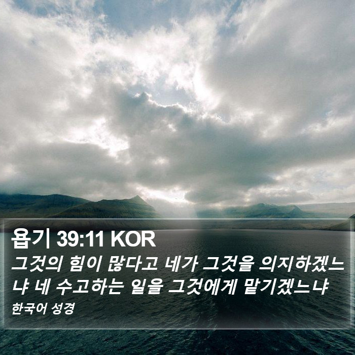 욥기 39:11 KOR Bible Study