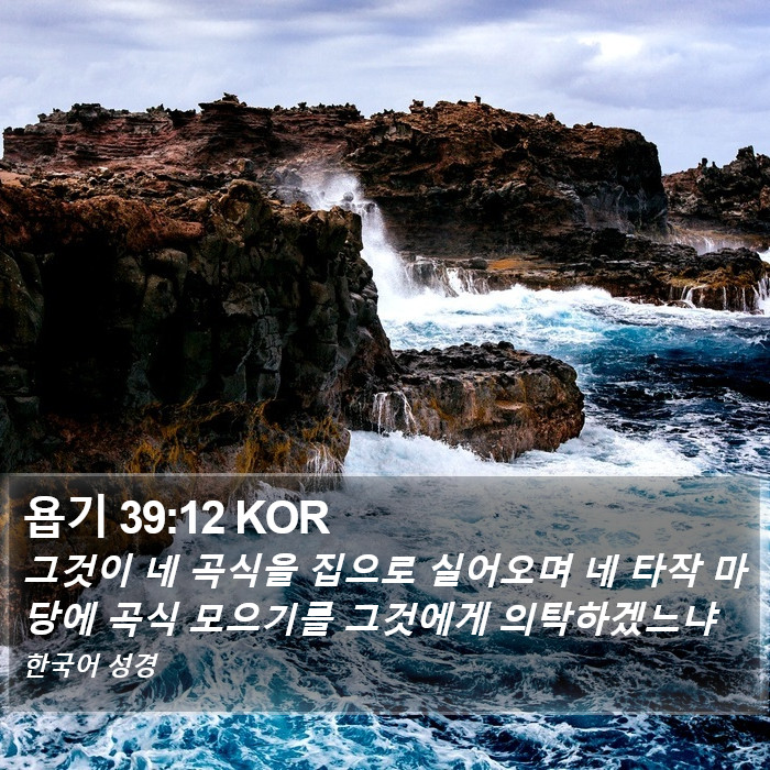 욥기 39:12 KOR Bible Study