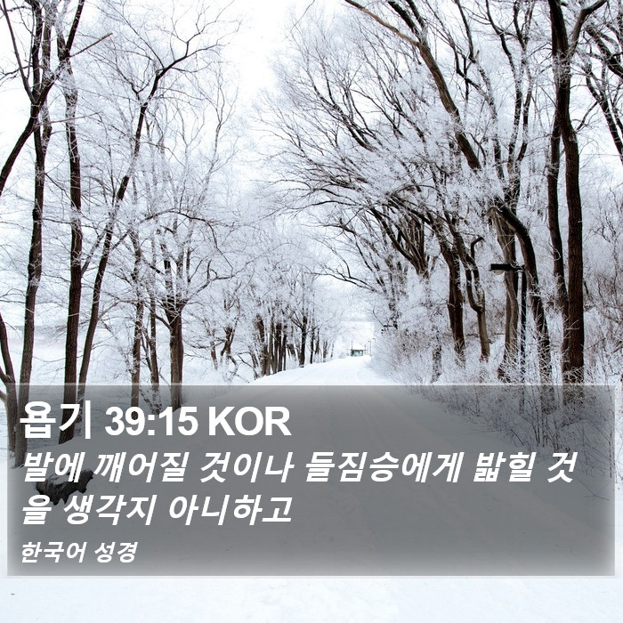 욥기 39:15 KOR Bible Study