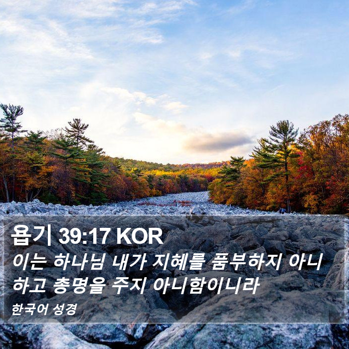 욥기 39:17 KOR Bible Study