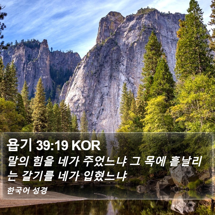 욥기 39:19 KOR Bible Study