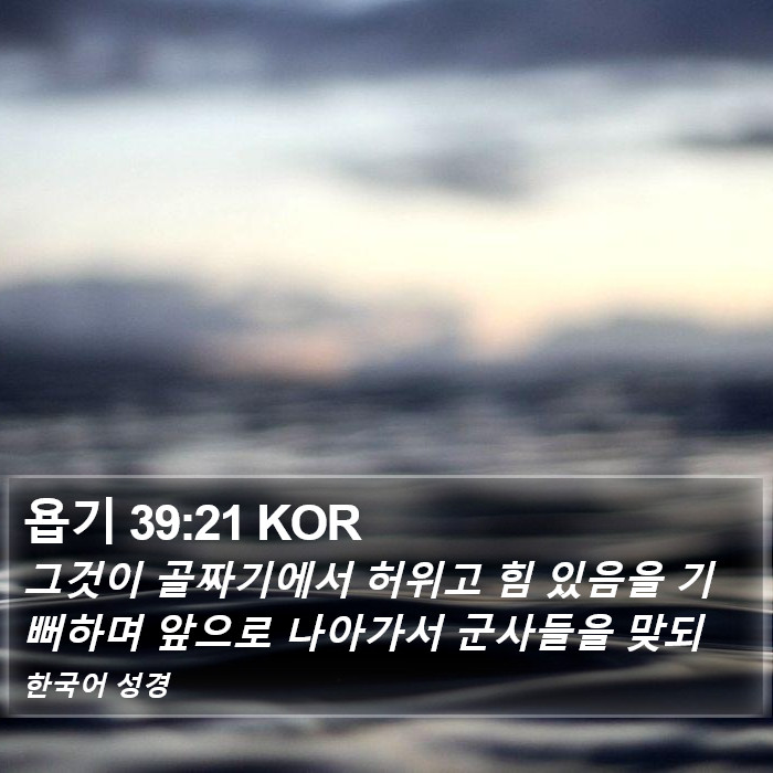 욥기 39:21 KOR Bible Study