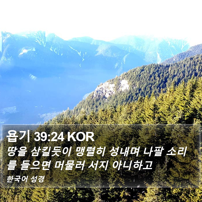 욥기 39:24 KOR Bible Study