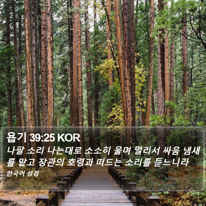 욥기 39:25 KOR Bible Study