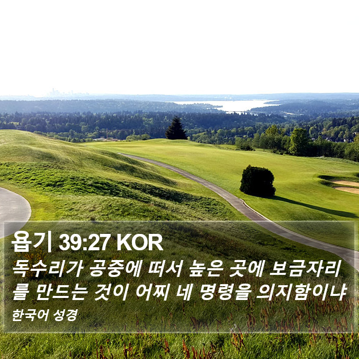 욥기 39:27 KOR Bible Study