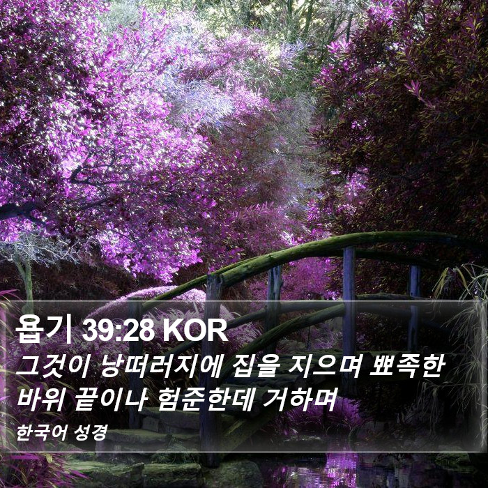 욥기 39:28 KOR Bible Study