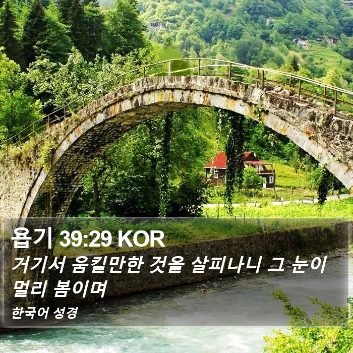 욥기 39:29 KOR Bible Study