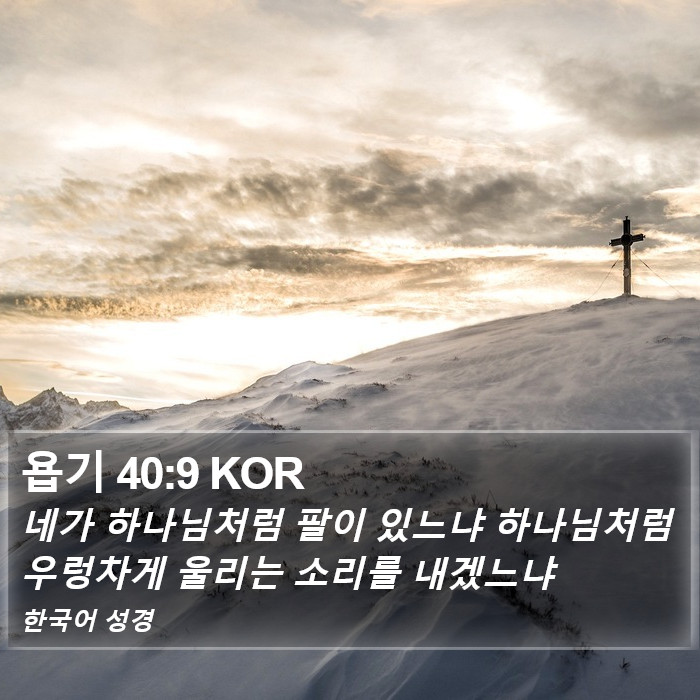 욥기 40:9 KOR Bible Study