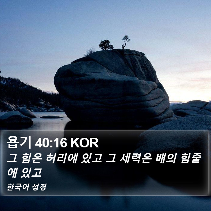 욥기 40:16 KOR Bible Study