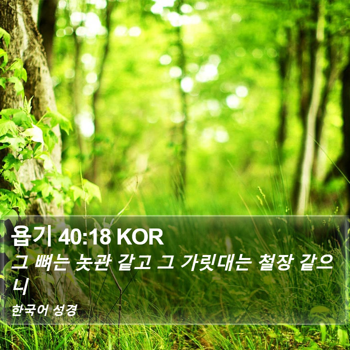 욥기 40:18 KOR Bible Study