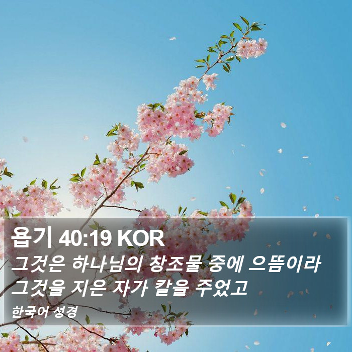 욥기 40:19 KOR Bible Study