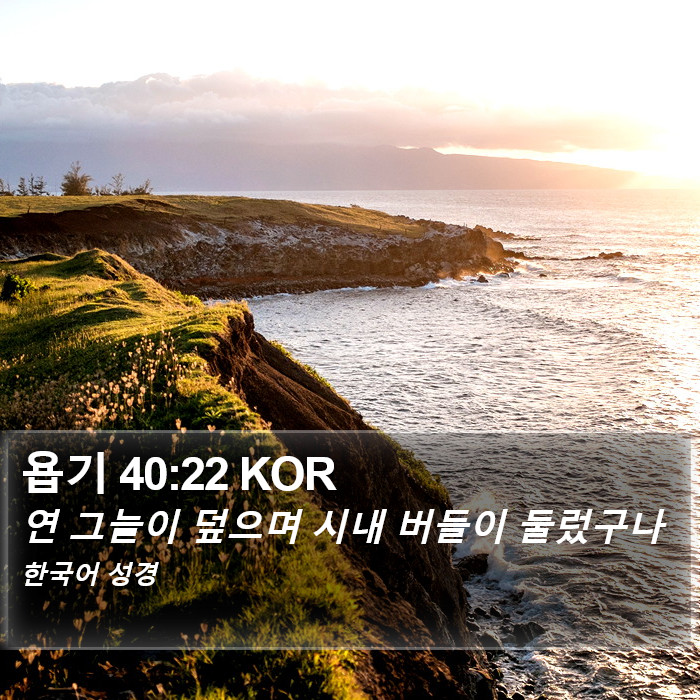 욥기 40:22 KOR Bible Study