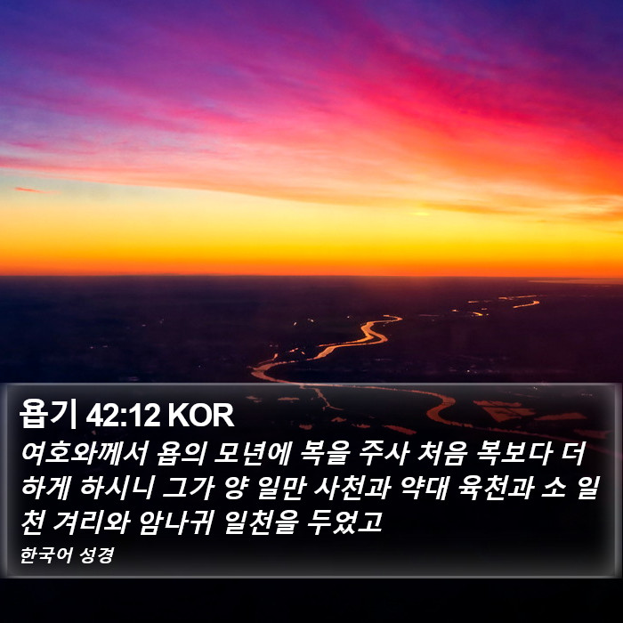 욥기 42:12 KOR Bible Study