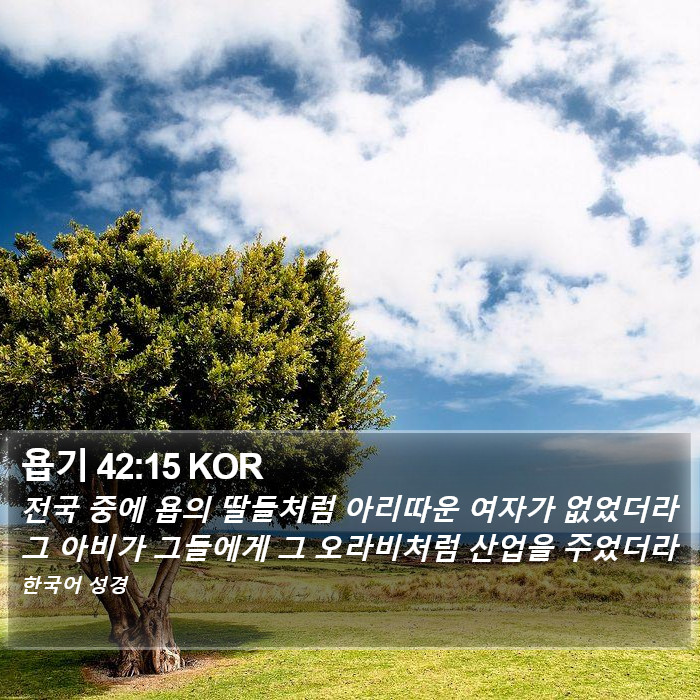 욥기 42:15 KOR Bible Study