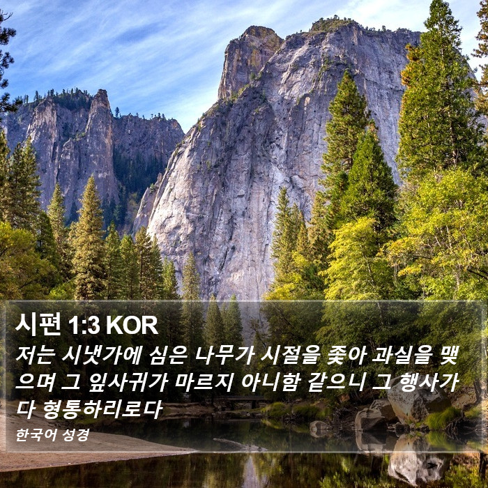 시편 1:3 KOR Bible Study