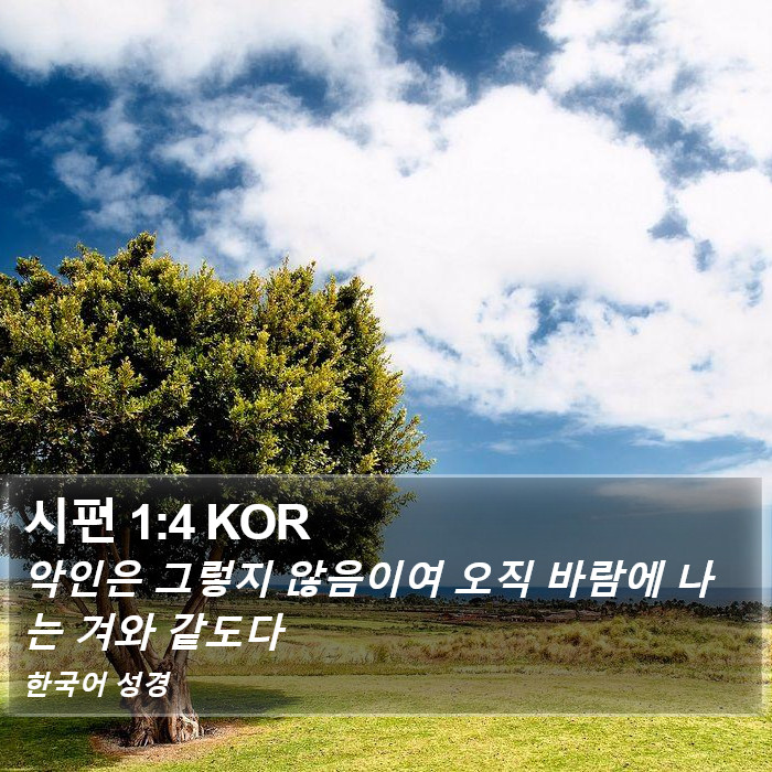 시편 1:4 KOR Bible Study