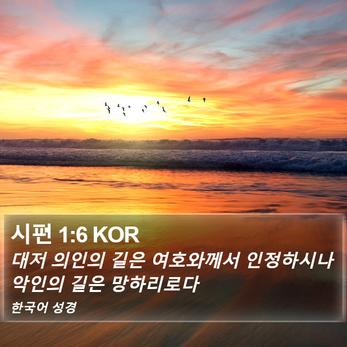 시편 1:6 KOR Bible Study