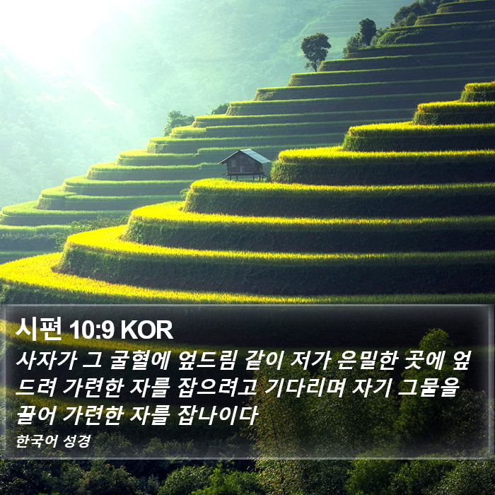 시편 10:9 KOR Bible Study