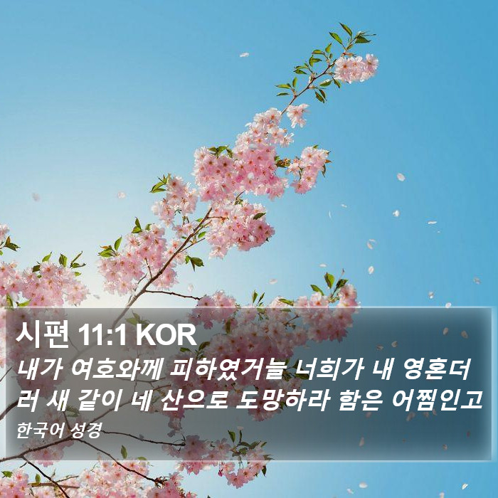 시편 11:1 KOR Bible Study