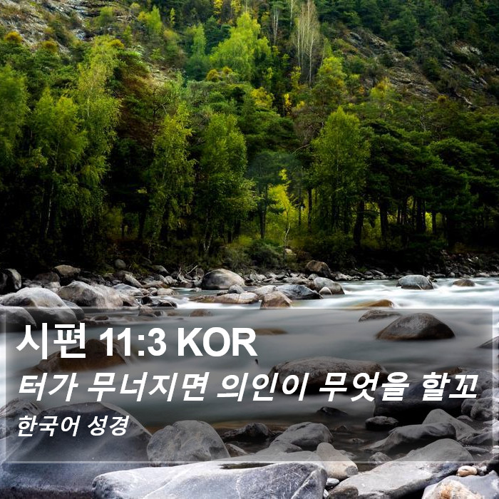 시편 11:3 KOR Bible Study