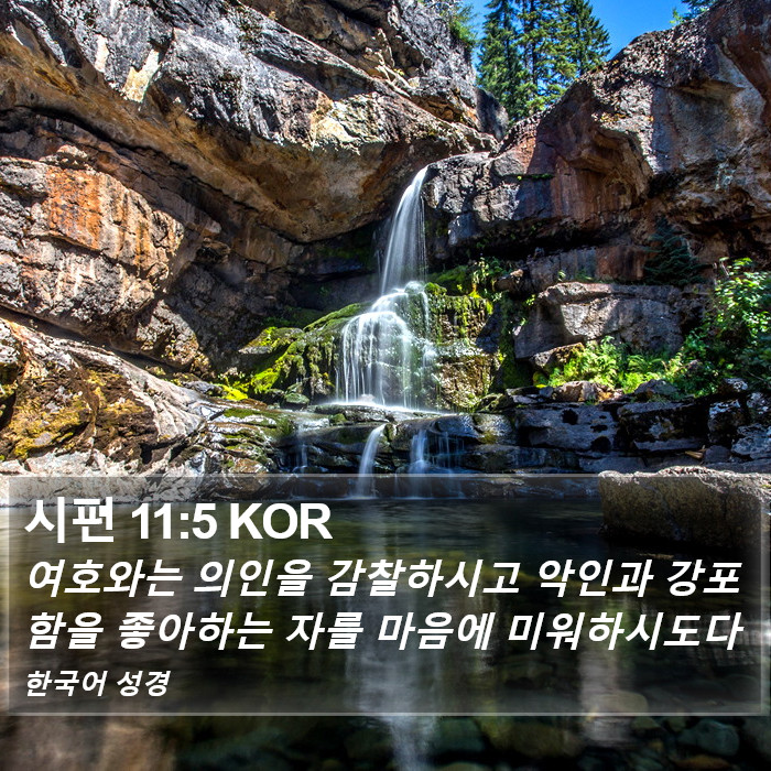 시편 11:5 KOR Bible Study