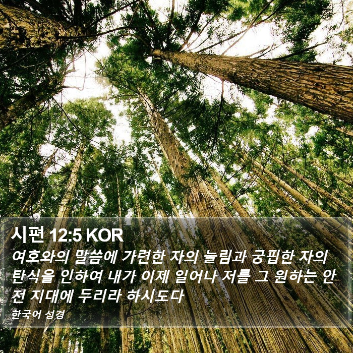 시편 12:5 KOR Bible Study