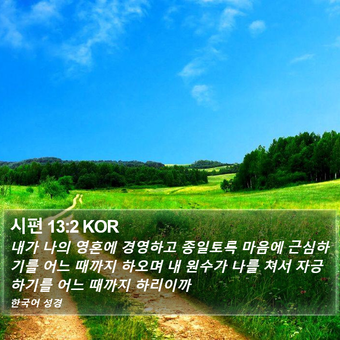 시편 13:2 KOR Bible Study