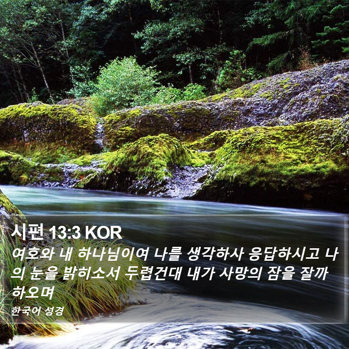 시편 13:3 KOR Bible Study