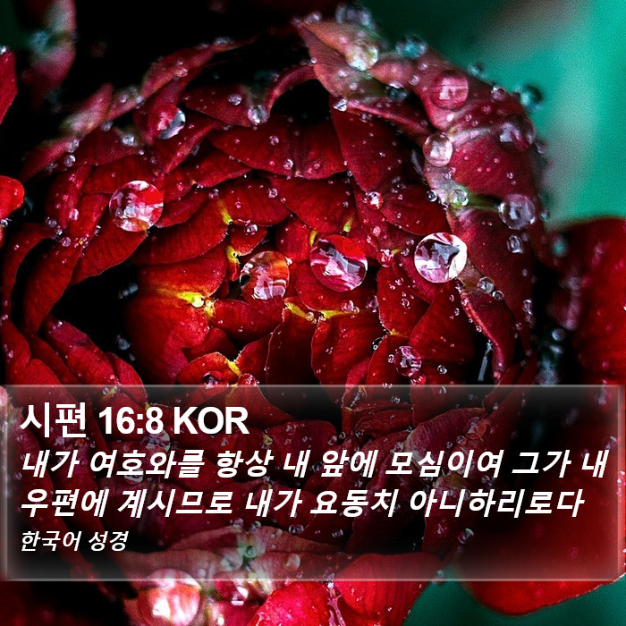 시편 16:8 KOR Bible Study