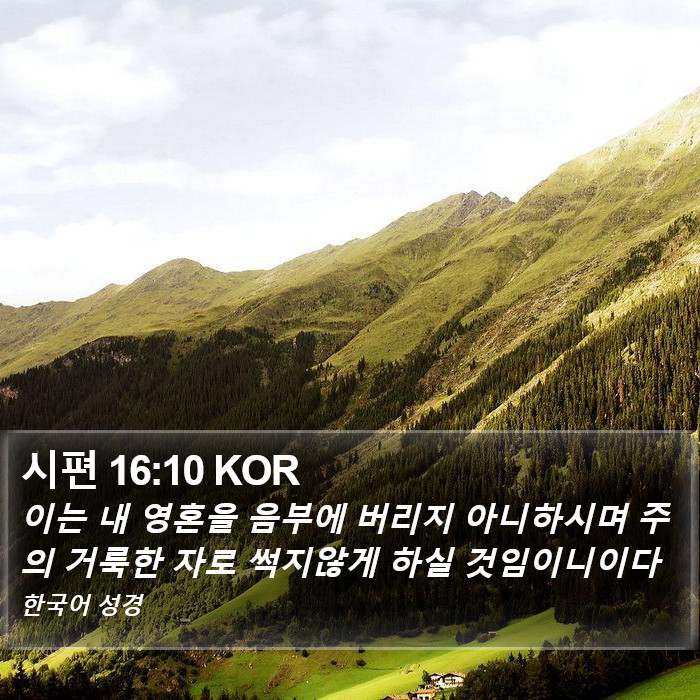 시편 16:10 KOR Bible Study