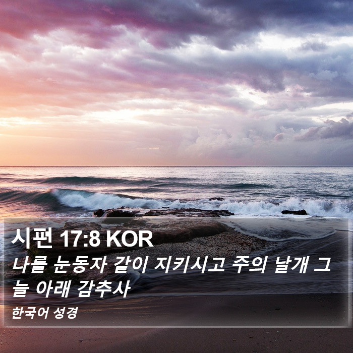 시편 17:8 KOR Bible Study