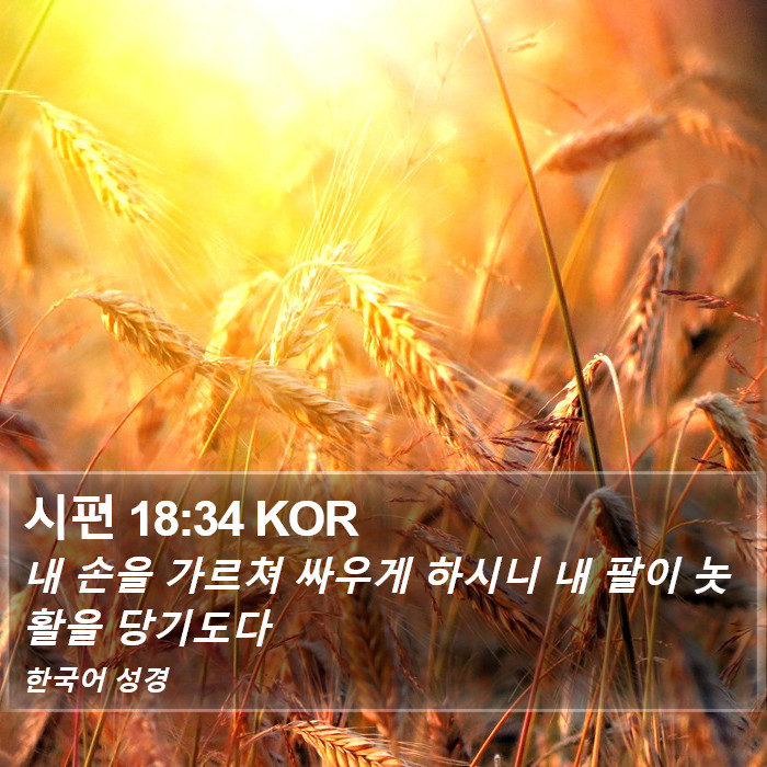 시편 18:34 KOR Bible Study