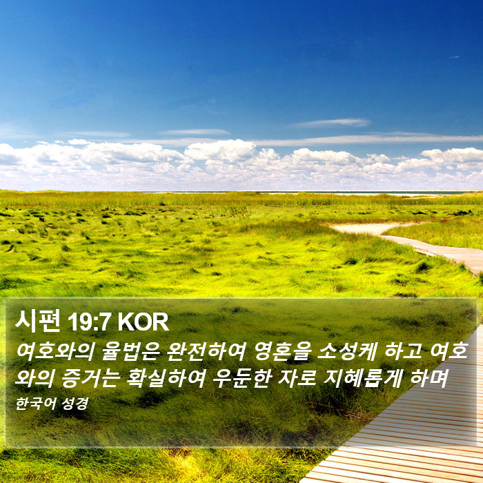 시편 19:7 KOR Bible Study