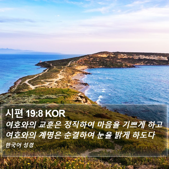 시편 19:8 KOR Bible Study