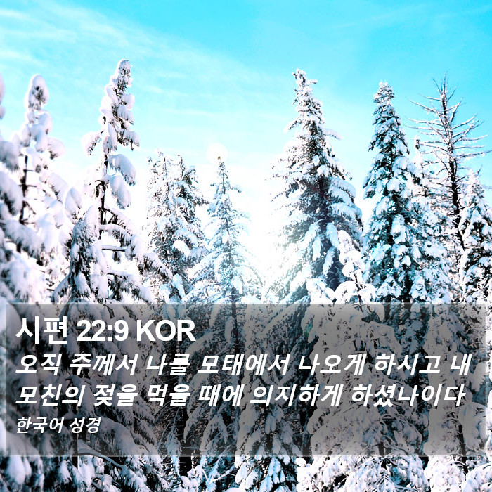 시편 22:9 KOR Bible Study