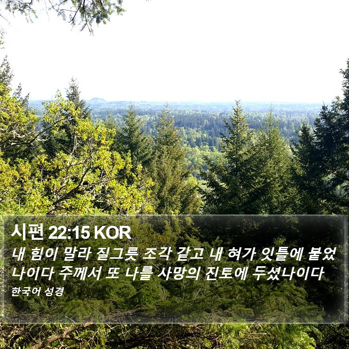 시편 22:15 KOR Bible Study